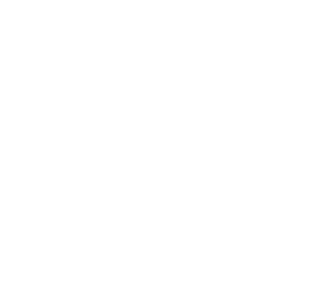 Silver Crown Marketing Concepts
